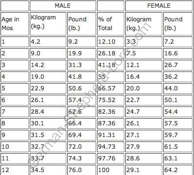 Pitbull Weight Chart By Age