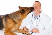 Common Dog Health Problems