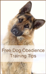 Free Dog Obedience Training Tips