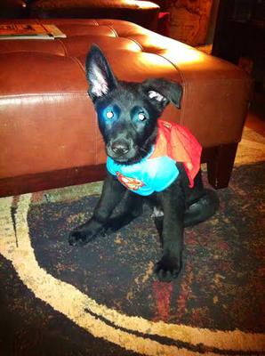 Super Fritz..a t-shirt from a doll that fit him when he was six weeks old