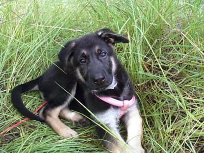 Playing in the grass