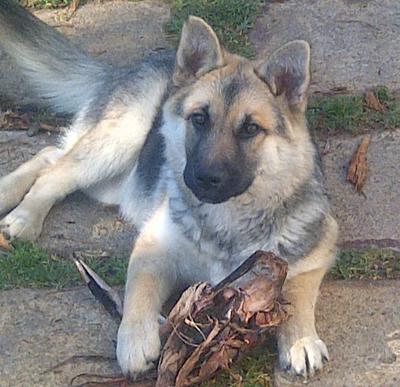 Very happy with herself after destroying the garden :)