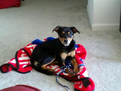 Cooper with his blanket and toys