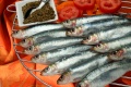 Raw Dog Food Recipe Fish