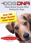 Dog DNA Testing Canine Heritage