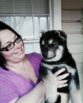 My German Shepherd, Odin, at 6 weeks and 15 bs 