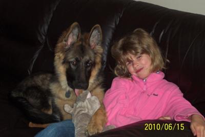 German Shepherd Phoenix and Katherine