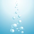 Raw Dog Food Recipe Water