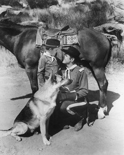 Rin Tin Tin image