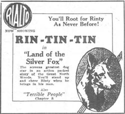 Rin Tin Tin Land of the Silver Fox