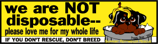 No Rescue No Breed